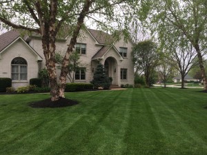 Weekly Lawn Maintenance in Cambridge - McCordsville, IN
