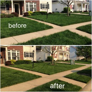 Before and After Weekly Lawn Maintenance