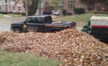 Leaf Removal by A Classic Cut