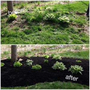 Mulch Installation - Before & After in Fishers 46038