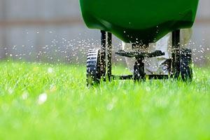 A Classic Cut Lawn Care Treatment Indianapolis