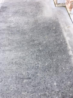 Concrete Walk - BEFORE