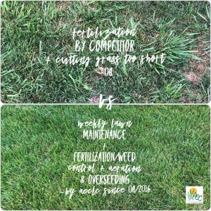 Compare Lawn Care Companies