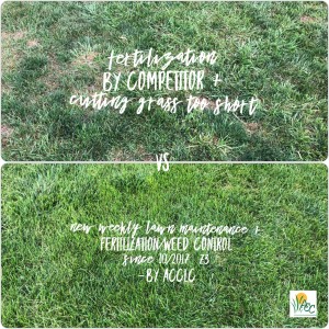 Comparison of ACCLC Lawn Care to others