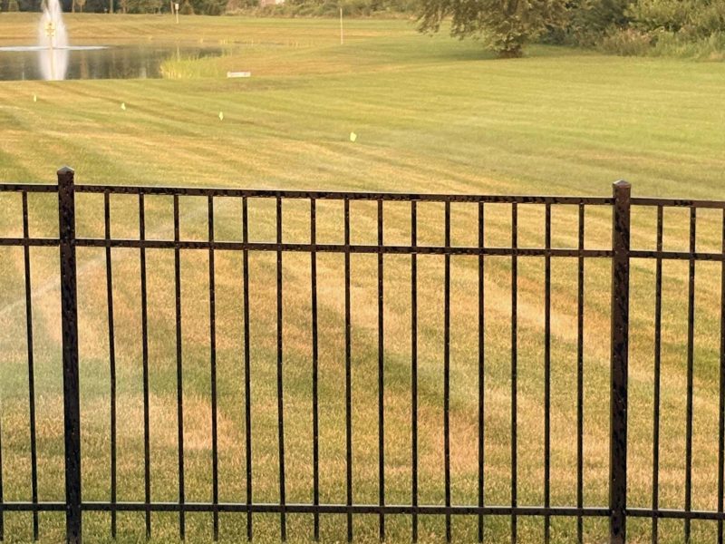 heat stress in fishers in lawn
