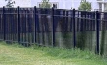 Untrimmed Grass Along Fence
