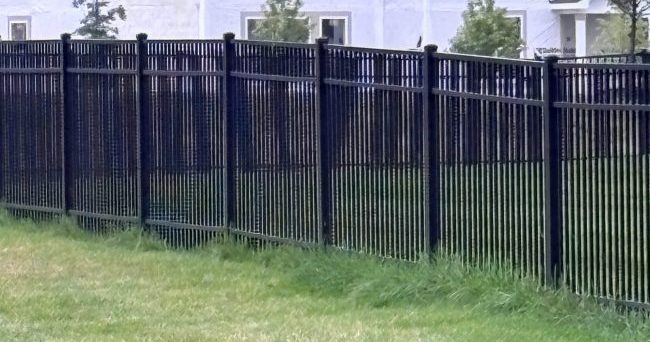 Untrimmed Grass Along Fence